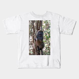 Bamboo lemur, Madagascar Kids T-Shirt